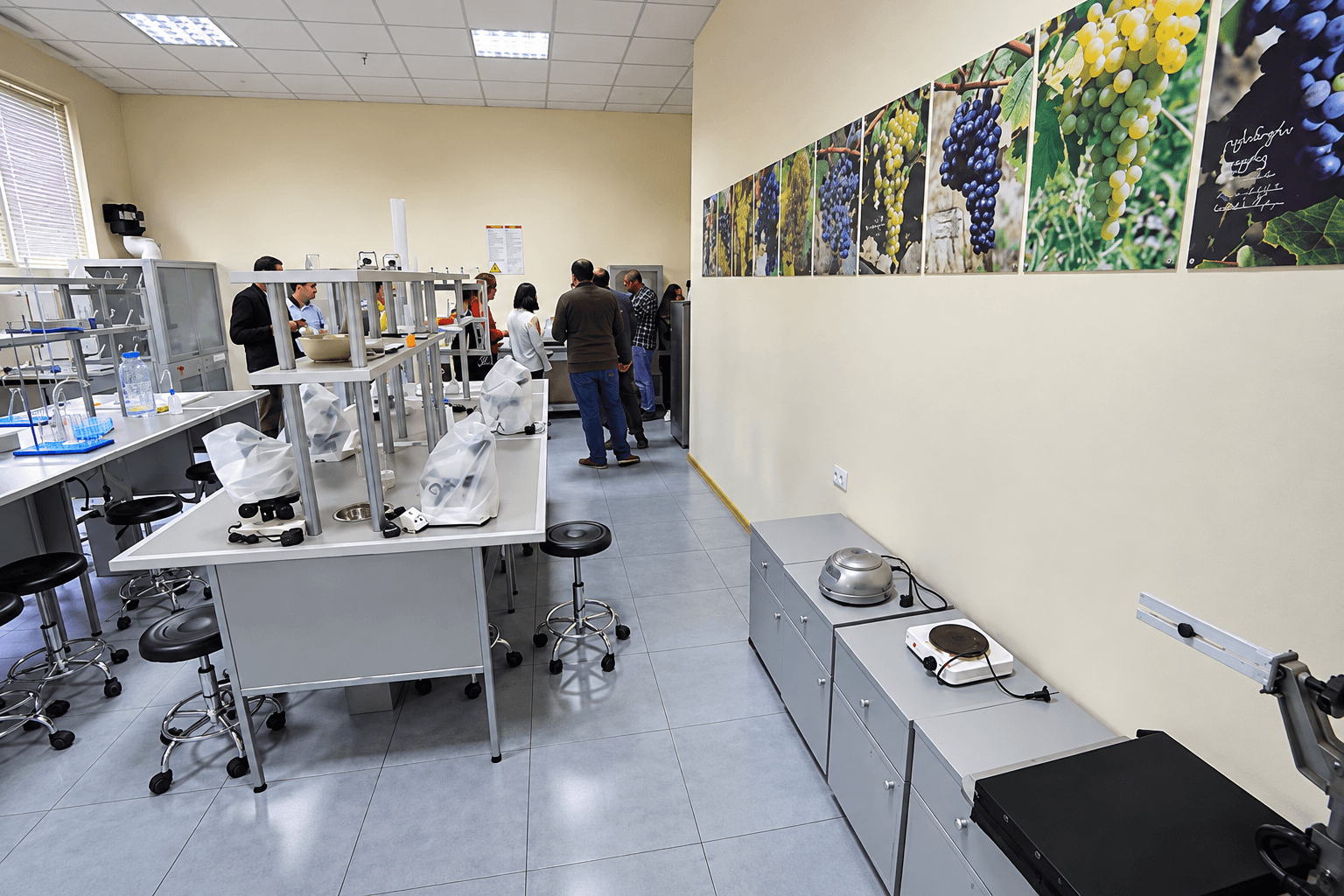 Laboratory benches with microscopes